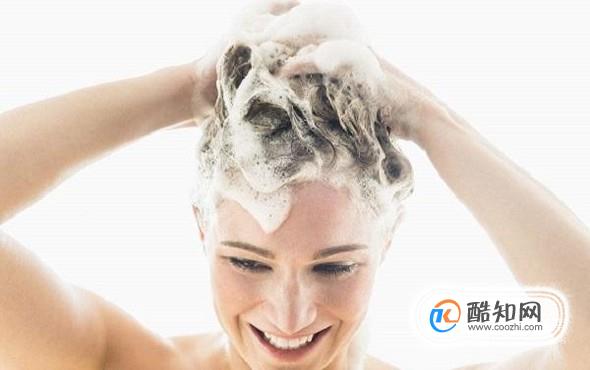 ��������ӵ��һͷ������ͷ������